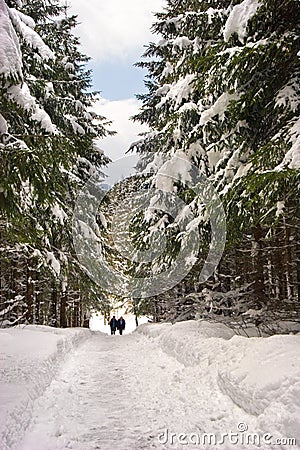 Snow Path Stock Photo