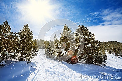 Snow path in snowy mountain forest Stock Photo