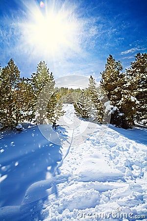 Snow path in snowy mountain forest Stock Photo