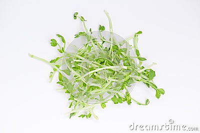 Snow pea shoots Stock Photo