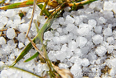 Snow pellets, graupel or soft hail on the ground. Form of precipitation Stock Photo