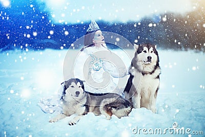 Snow-queen. Fairy tale girl with Huskies or Malamute. Stock Photo