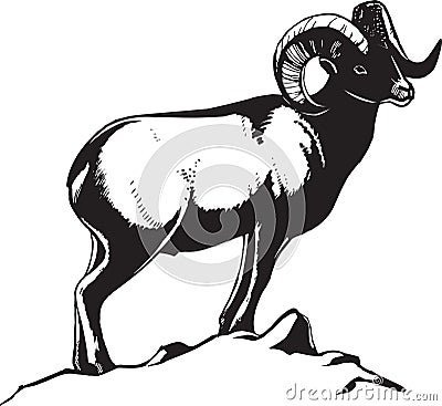 Snow ram Vector Illustration