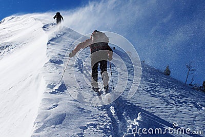 Snow storm Stock Photo