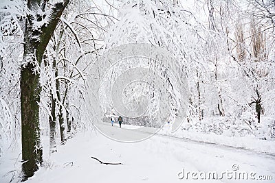 The snow storm drop 8 inches of snow in New York City Stock Photo