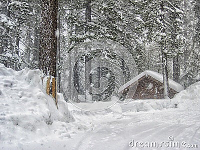 Snow Storm Stock Photo