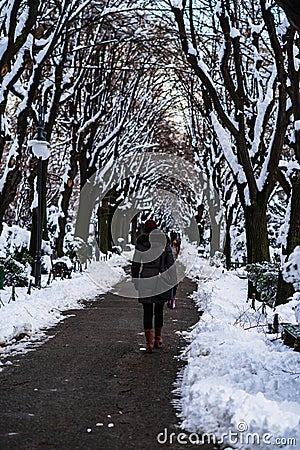 Snow on streets, snowy road, winter day Editorial Stock Photo