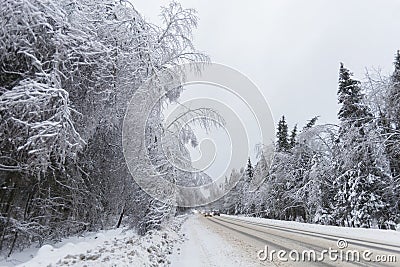 Snow-swept road. Winter landscape. Frozen forest, Russia Stock Photo