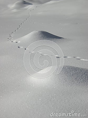 Snow traces Stock Photo