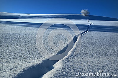 Snow trail Stock Photo