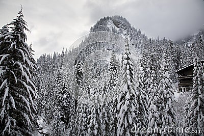 Snow Trees Mountain Ski Lodge Alpental Washington Stock Photo