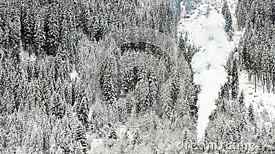 Snow winter forest firs trees texture chimney flue smoke Stock Photo