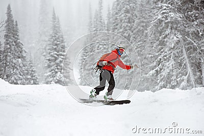 Snowboarder female offpiste forest ski slope Stock Photo