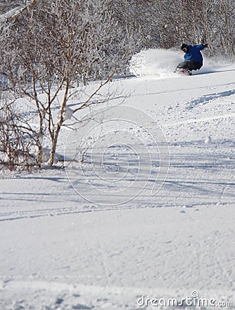 Snowboarder ripping into the fresh snow Stock Photo