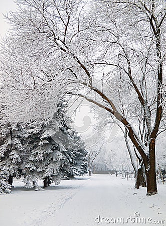 Snowbound city park walkway Stock Photo