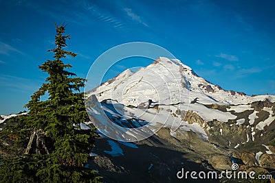 Snowcapped Mount Baker, Ptarmigan Ridge, Washington state Cascades Stock Photo