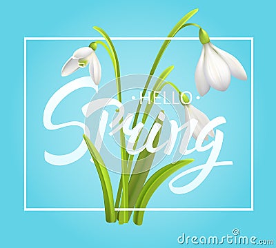 Snowdrop Flower Background and hello Spring Lettering. Vector Illustration EPS10 Vector Illustration