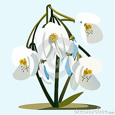 Snowdrop flower. Vector illustration of a bouquet of snowdrops. AI Generated Vector Illustration