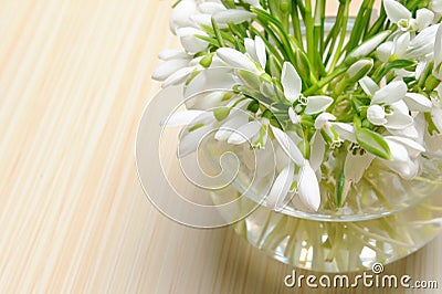 Snowdrop flowers in vase Stock Photo