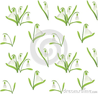 Snowdrop seamless pattern Vector Illustration