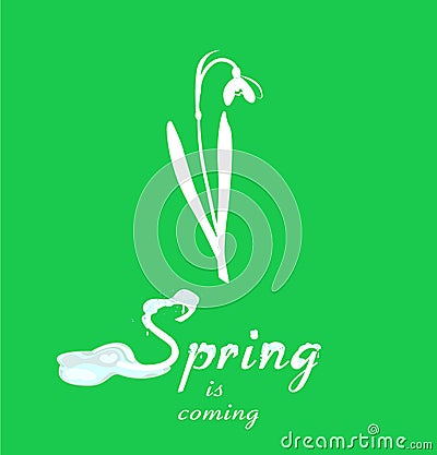 Snowdrop and Spring is coming Vector Illustration