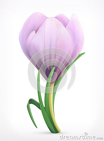 Snowdrop spring flower Vector Illustration