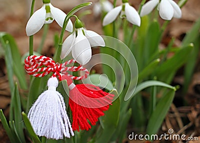 Snowdrop spring flowers with martenitsa. Baba Marta day Stock Photo