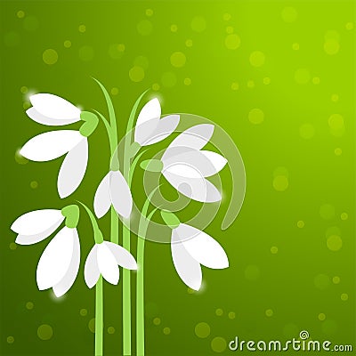 vector snowdrops, first spring flowers Vector Illustration