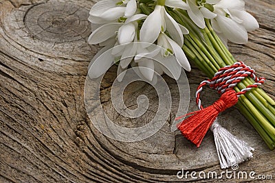 Snowdrops isolated on wooden background. Stock Photo