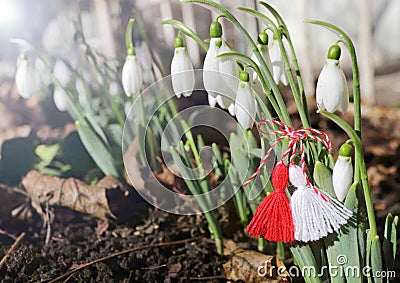 Snowdrops and martenitsa. Symbols of spring. White snowdrop flowers and martisor. Baba Marta holiday. Tradition in Bulgaria. Baba Stock Photo
