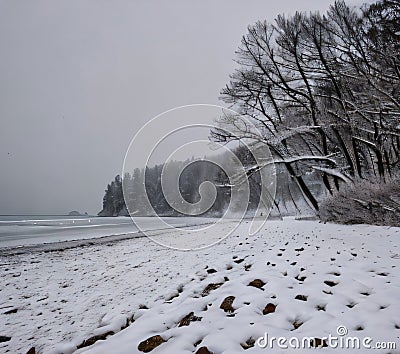 Snowfall on the Beach Stock Photo