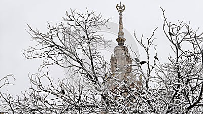 Snowfall in campus of famous Russian university with snowed naked tree branches in winter Stock Photo