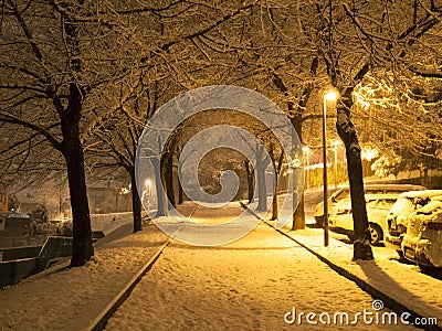 Snowfall in the evening Stock Photo