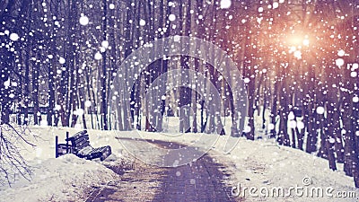 Snowfall in silent winter park at bright sunset. Snowflakes falling on snowy alley. Christmas and New Year theme. Xmas background. Stock Photo