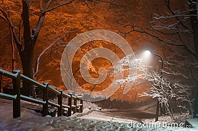 Snowfall trail at park of Namsan tower of Seoul Korea Stock Photo