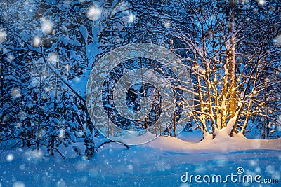 Snowfall and Tree with garland warm lights in night snowy winter Stock Photo