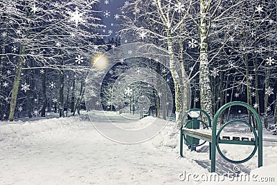 Snowfall in winter night park. New year and Christmas theme. Landscape of winter in city. Stock Photo