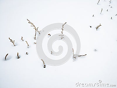Snowfield and Footprint Stock Photo