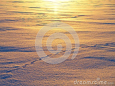 Snow field golden glitter by sunset, winter season nature background Stock Photo