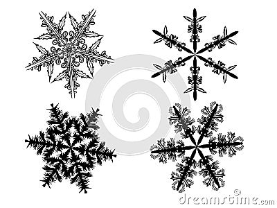 Snowflake Vector Illustration