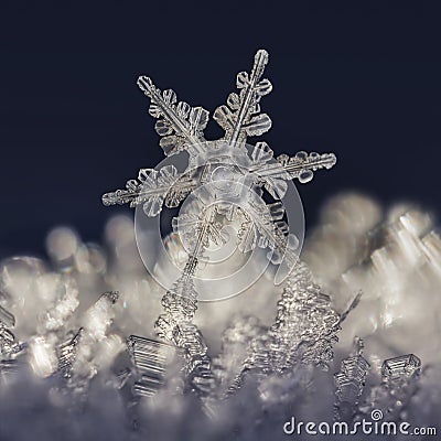 Snowflake Frost Stock Photo