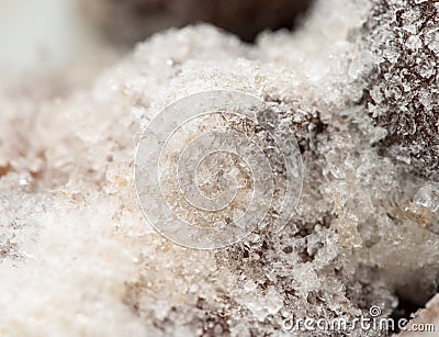 Snowflake on a frozen mushroom. macro Stock Photo