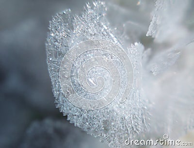 Snowflake frozen shiny from ice Stock Photo