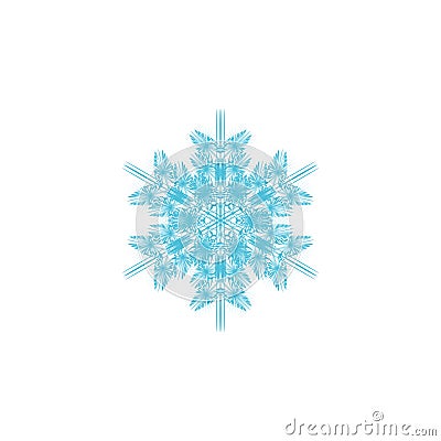 Snowflake geometric Vector Illustration