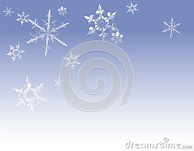 Snowflakes Stock Photo