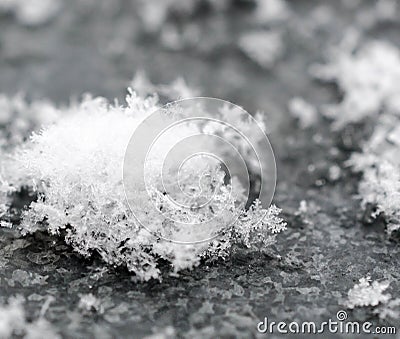 Snowflakes close up Stock Photo