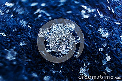 Snowflakes close-up. Macro photo. Stock Photo