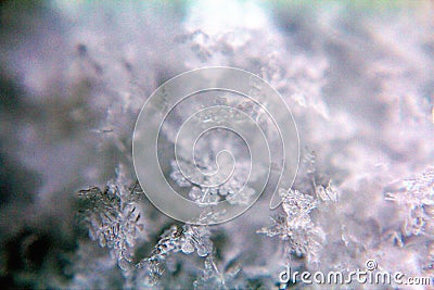 Snowflakes closeup and beautiful textures during a snowstorm Stock Photo