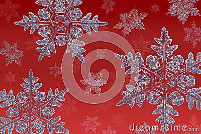 Snowflakes on red Stock Photo