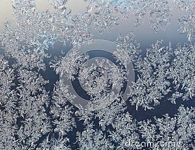 Snowflakes on windowpane at early winter dawn Stock Photo